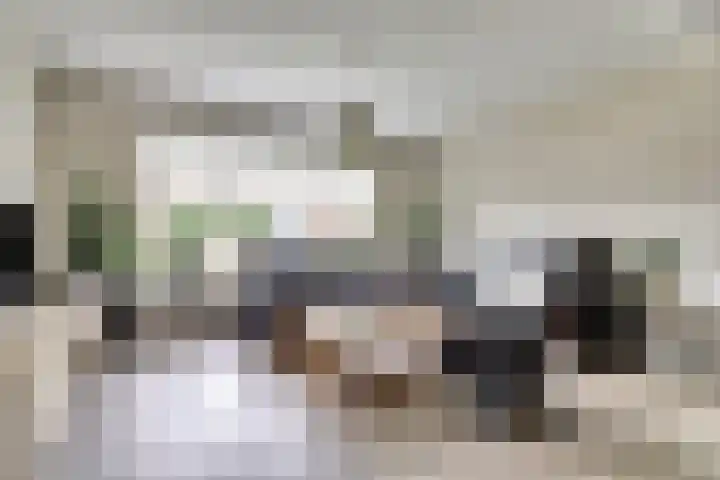 Zeeasterstraat 11 Nieuwerkerk thumbnail 7