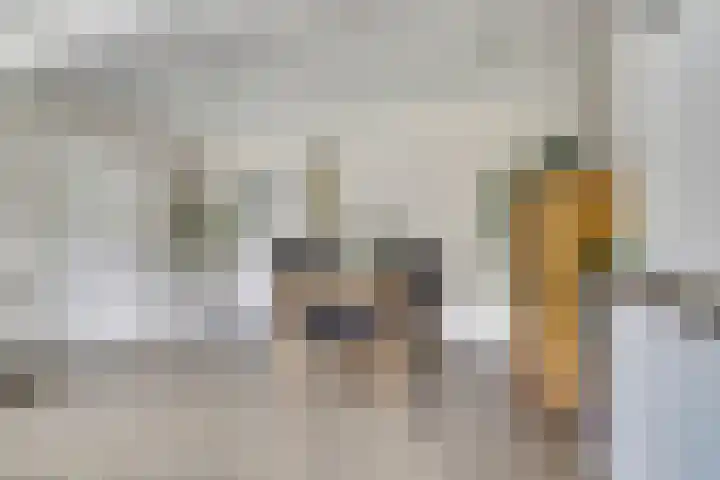 Zeeasterstraat 11 Nieuwerkerk thumbnail 8