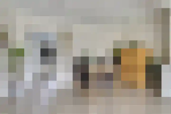 Zeeasterstraat 11 Nieuwerkerk thumbnail 9