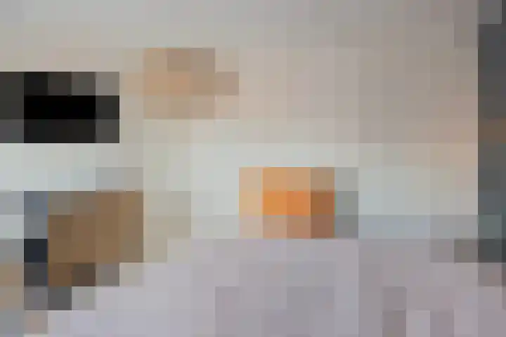 Zeeasterstraat 8 Emmeloord thumbnail 21