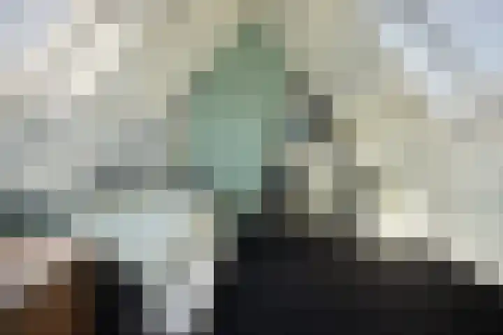 Zeeasterstraat 8 Emmeloord thumbnail 30