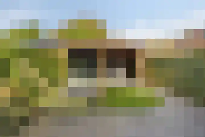 Zeeasterstraat 8 Emmeloord thumbnail 33