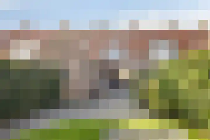 Zeeasterstraat 8 Emmeloord thumbnail 35