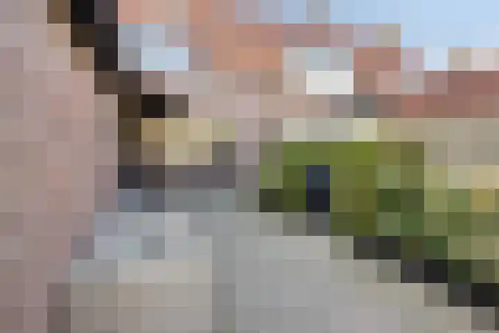 Zeeasterstraat 8 Emmeloord thumbnail 36