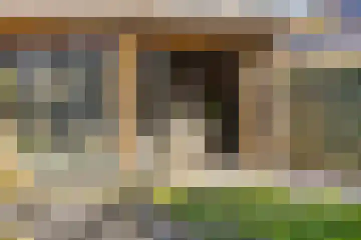 Zeeasterstraat 8 Emmeloord thumbnail 37