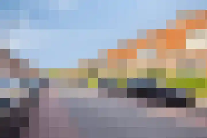 Zeeasterstraat 8 Emmeloord thumbnail 38