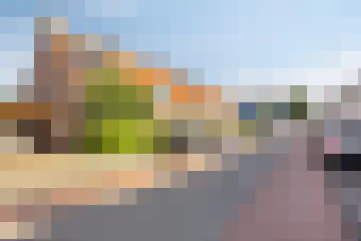 Zeeasterstraat 8 Emmeloord thumbnail 39