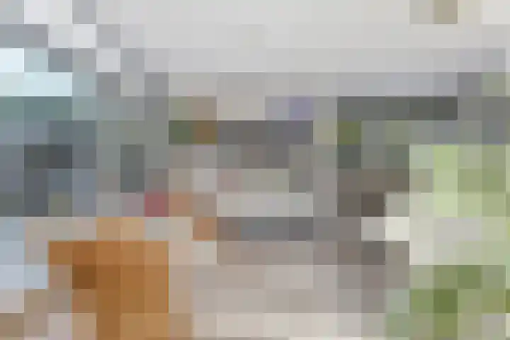 Zeeasterweg 6 Renesse thumbnail 10