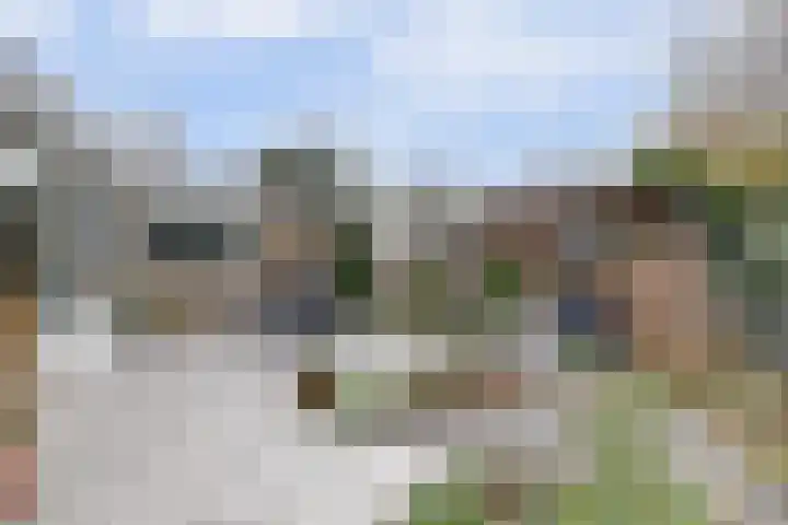 Zeeasterweg 6 Renesse thumbnail 22
