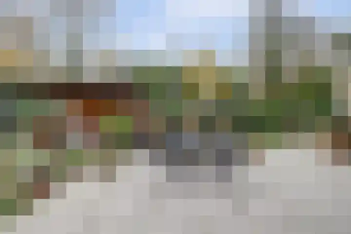 Zeeasterweg 6 Renesse thumbnail 23