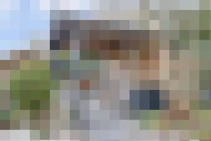Zeeasterweg 6 Renesse thumbnail 25