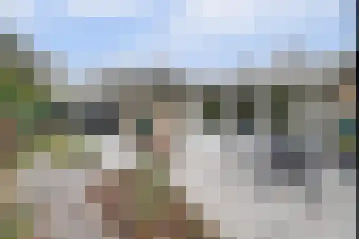 Zeeasterweg 6 Renesse thumbnail 26