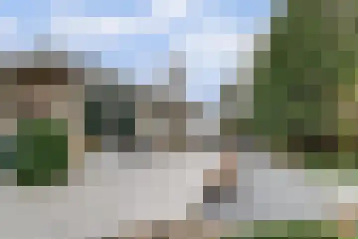 Zeeasterweg 6 Renesse thumbnail 27