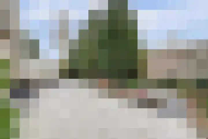Zeeasterweg 6 Renesse thumbnail 28