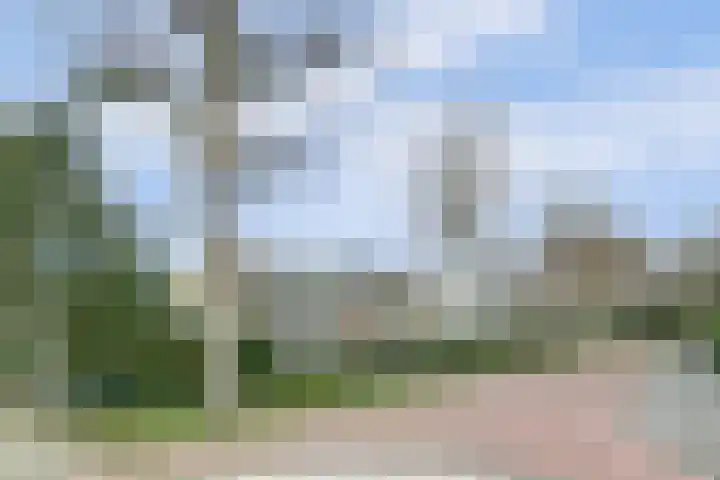Zeeasterweg 6 Renesse thumbnail 30