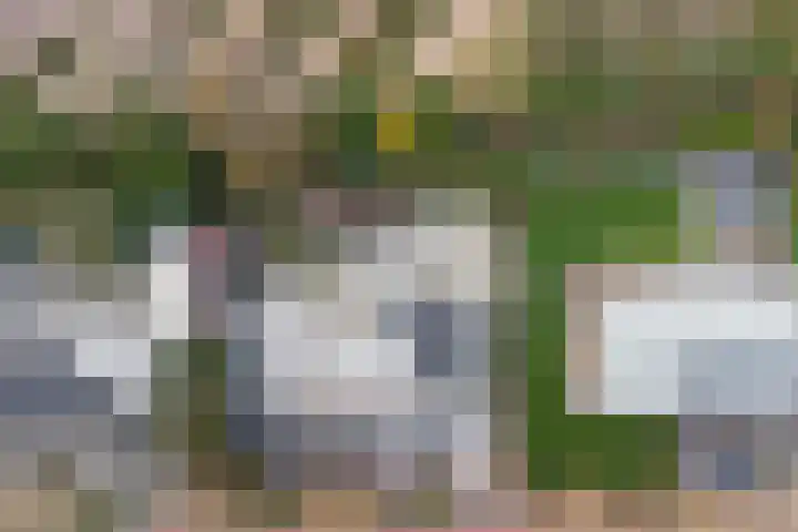 Zeeasterweg 6 Renesse thumbnail 31