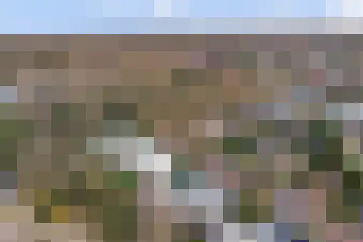 Zeeasterweg 6 Renesse thumbnail 32
