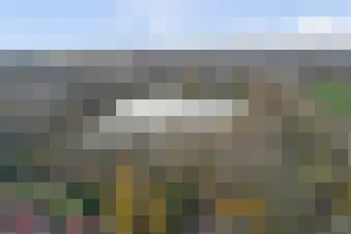 Zeeasterweg 6 Renesse thumbnail 34
