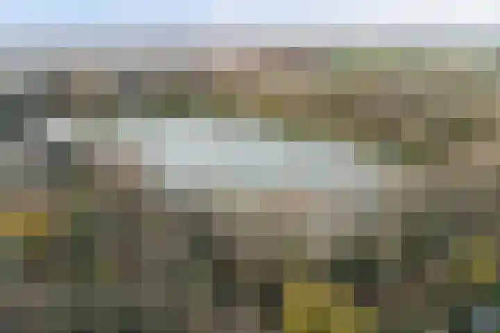 Zeeasterweg 6 Renesse thumbnail 4