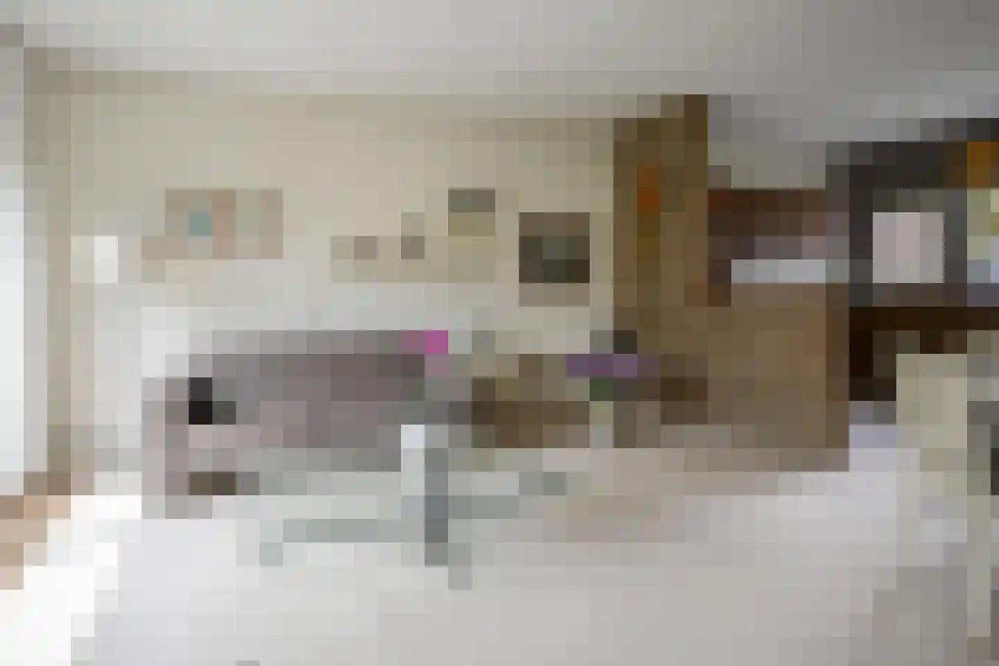 Zeebies 11 Brielle thumbnail 7