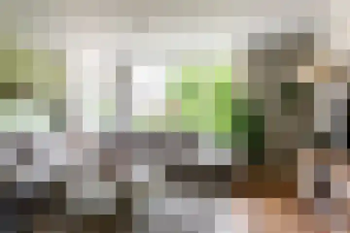 Zeebies 2 Oosthuizen thumbnail 10