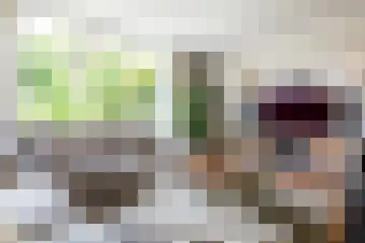 Zeebies 2 Oosthuizen thumbnail 13