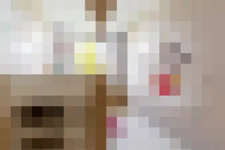 Zeebies 2 Oosthuizen thumbnail 22
