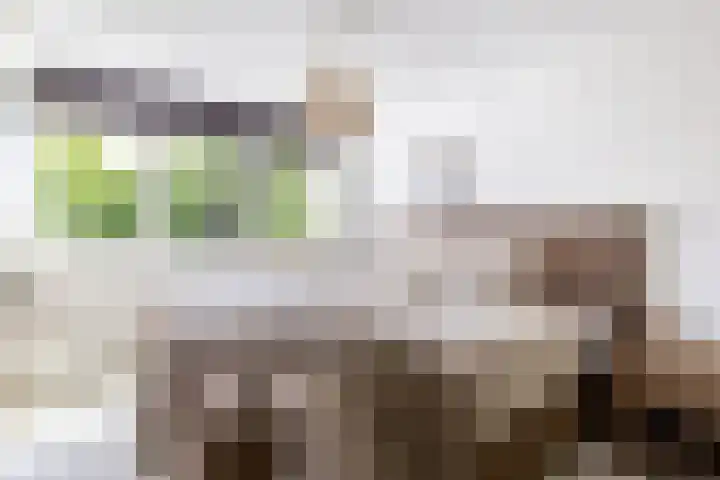 Zeebies 2 Oosthuizen thumbnail 26