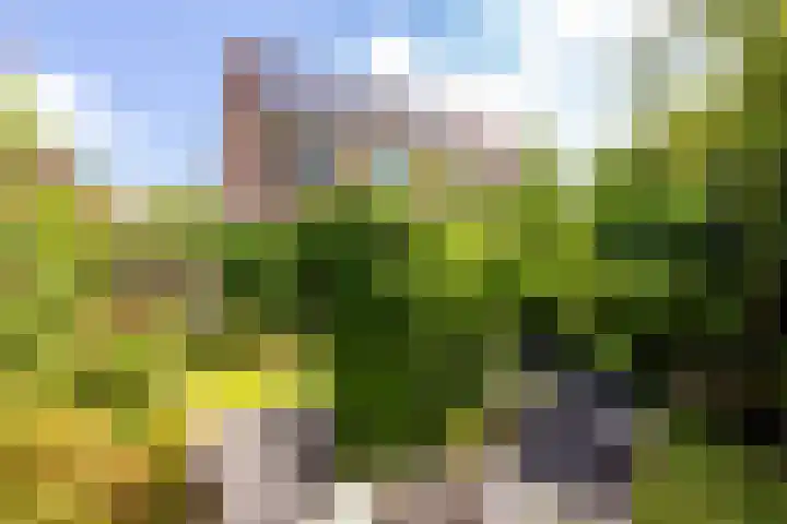 Zeebies 2 Oosthuizen thumbnail 36