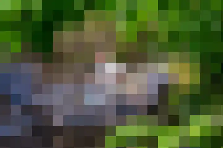 Zeebies 2 Oosthuizen thumbnail 37