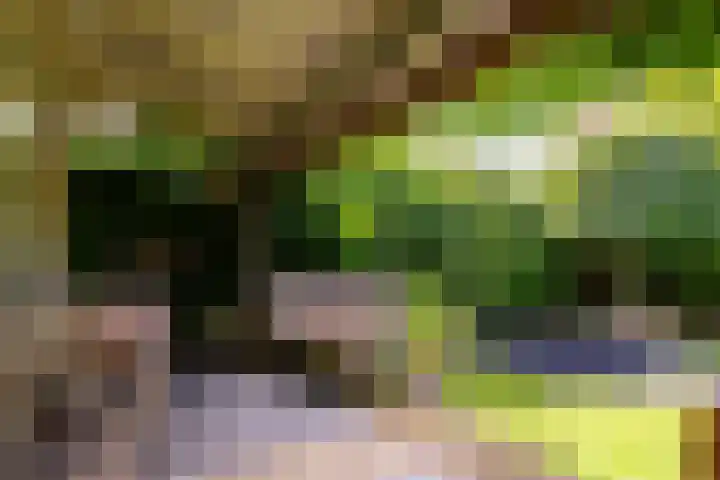 Zeebies 2 Oosthuizen thumbnail 38