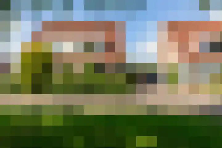 Zeebies 2 Oosthuizen thumbnail 4