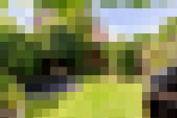 Zeebies 2 Oosthuizen thumbnail 40