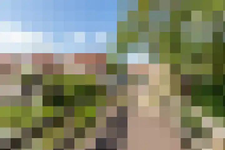 Zeebies 2 Oosthuizen thumbnail 45