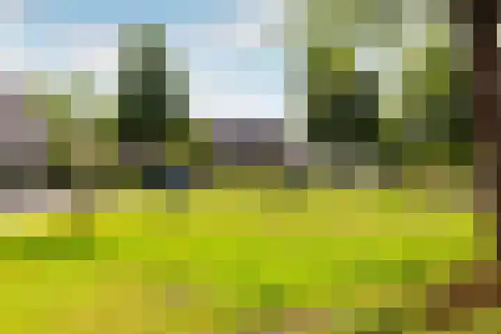 Zeebies 2 Oosthuizen thumbnail 46