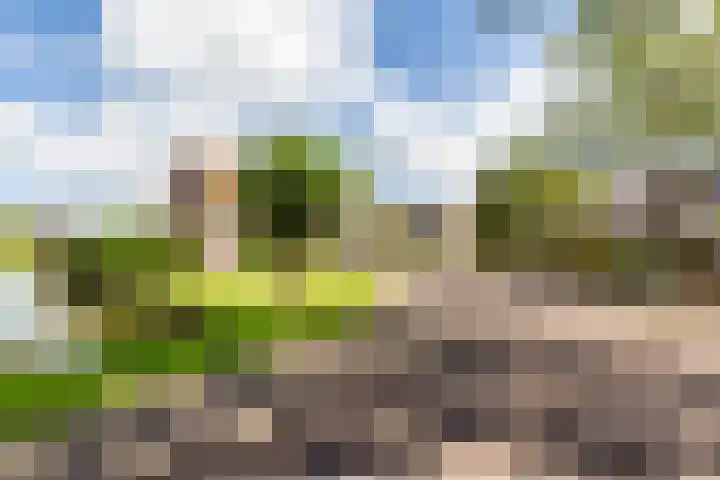 Zeebies 2 Oosthuizen thumbnail 47