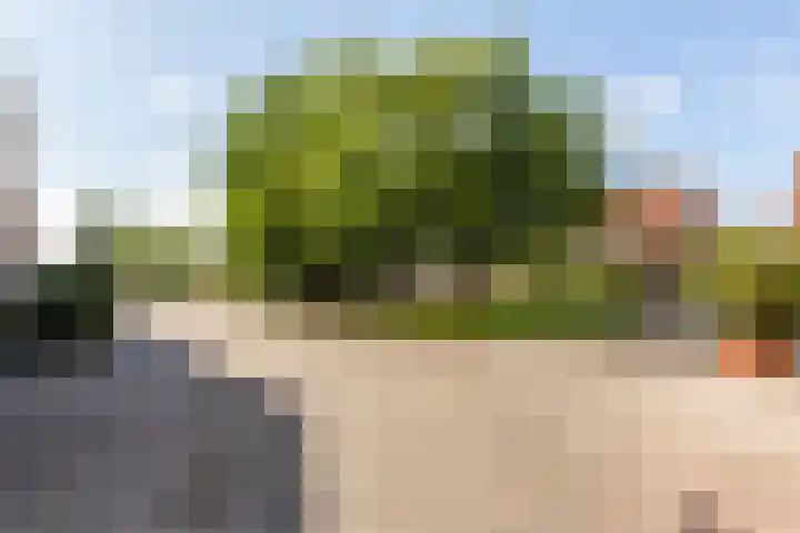 Zeebies 2 Oosthuizen thumbnail 5
