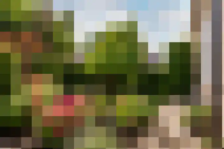 Zeebies 2 Oosthuizen thumbnail 7