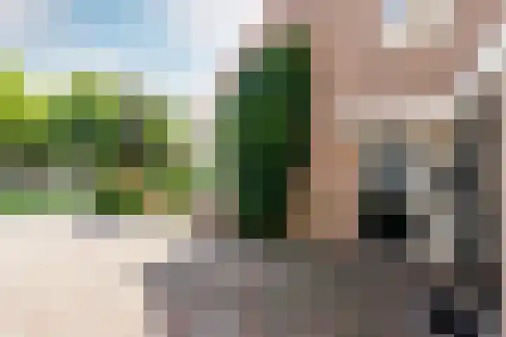 Zeebies 2 Oosthuizen thumbnail 8