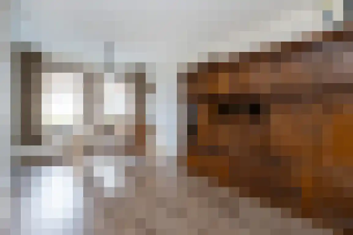 Zeebrekersweg 29 Ouddorp thumbnail 10