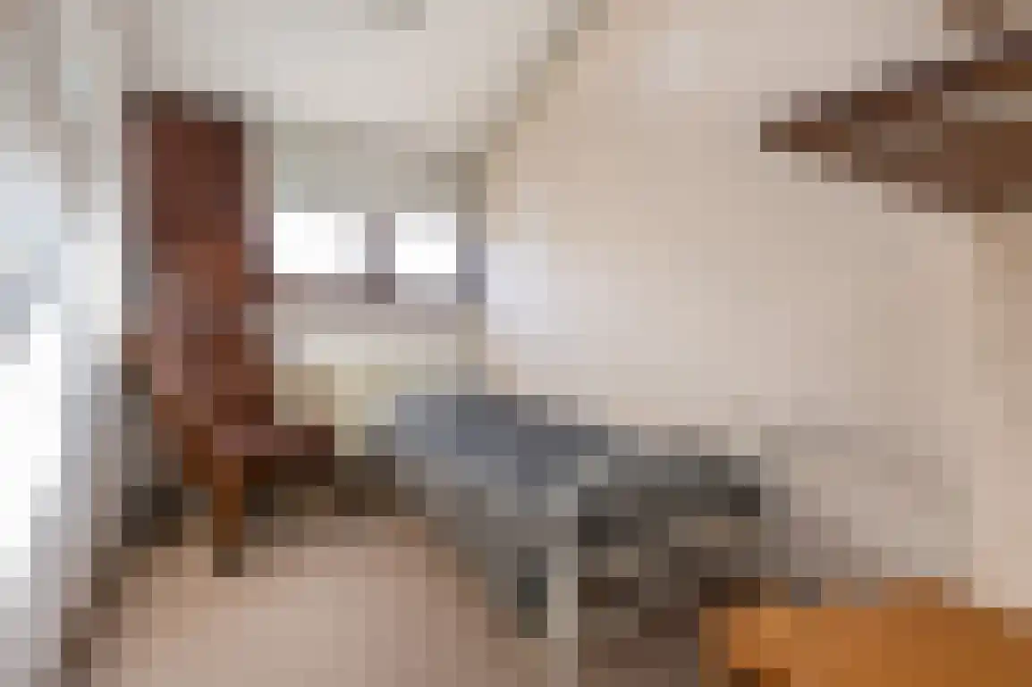 Zeebrekersweg 29 Ouddorp thumbnail 17