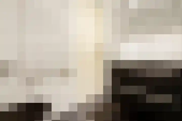 Zeebruggeplein 8 Amsterdam thumbnail 30