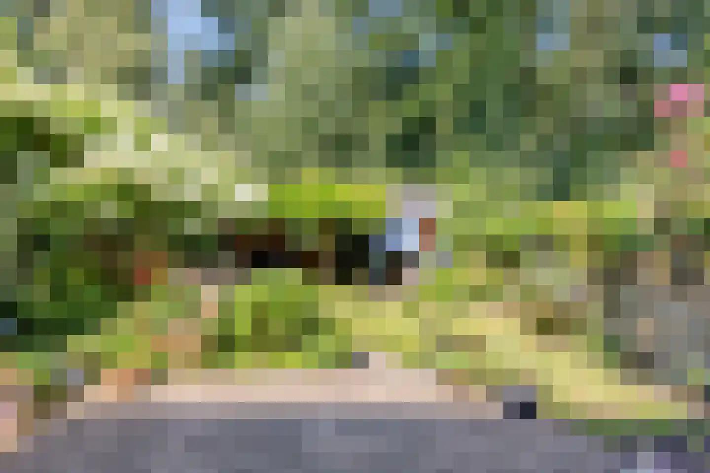 Zeebruggestraat 27 Eindhoven thumbnail 35