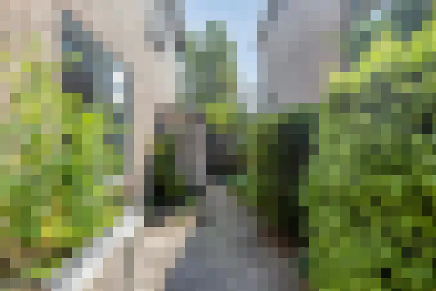 Zeebruggestraat 27 Eindhoven thumbnail 41