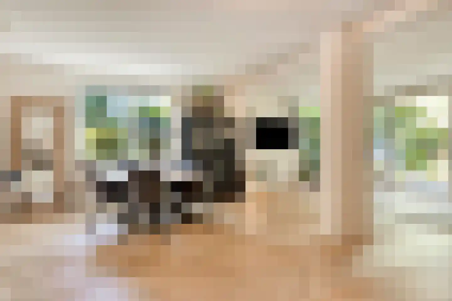 Zeebruggestraat 27 Eindhoven thumbnail 8