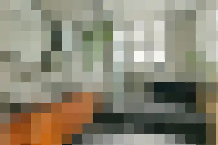 Zeeburgerdijk 114 G Amsterdam thumbnail 11