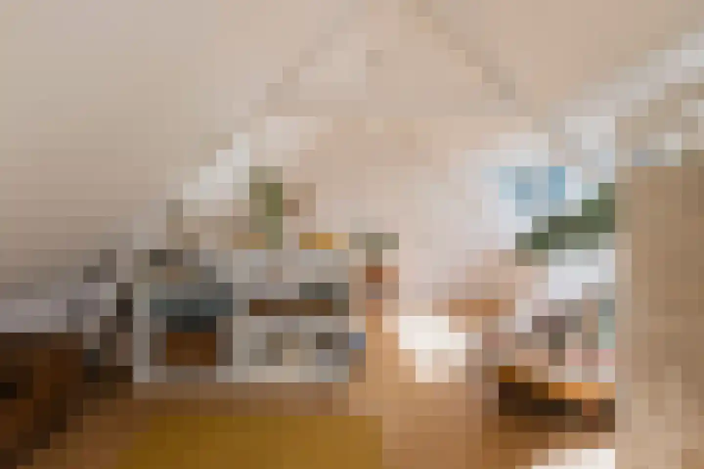 Zeeburgerdijk 17 3 Amsterdam thumbnail 19