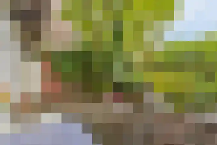 Zeeburgerdijk 27 3 Amsterdam thumbnail 31