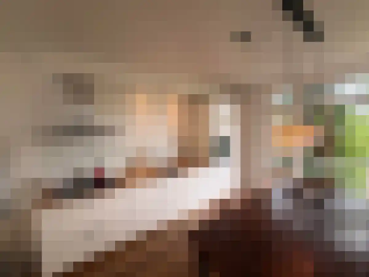 Zeeburgerdijk 31 Amsterdam thumbnail 6