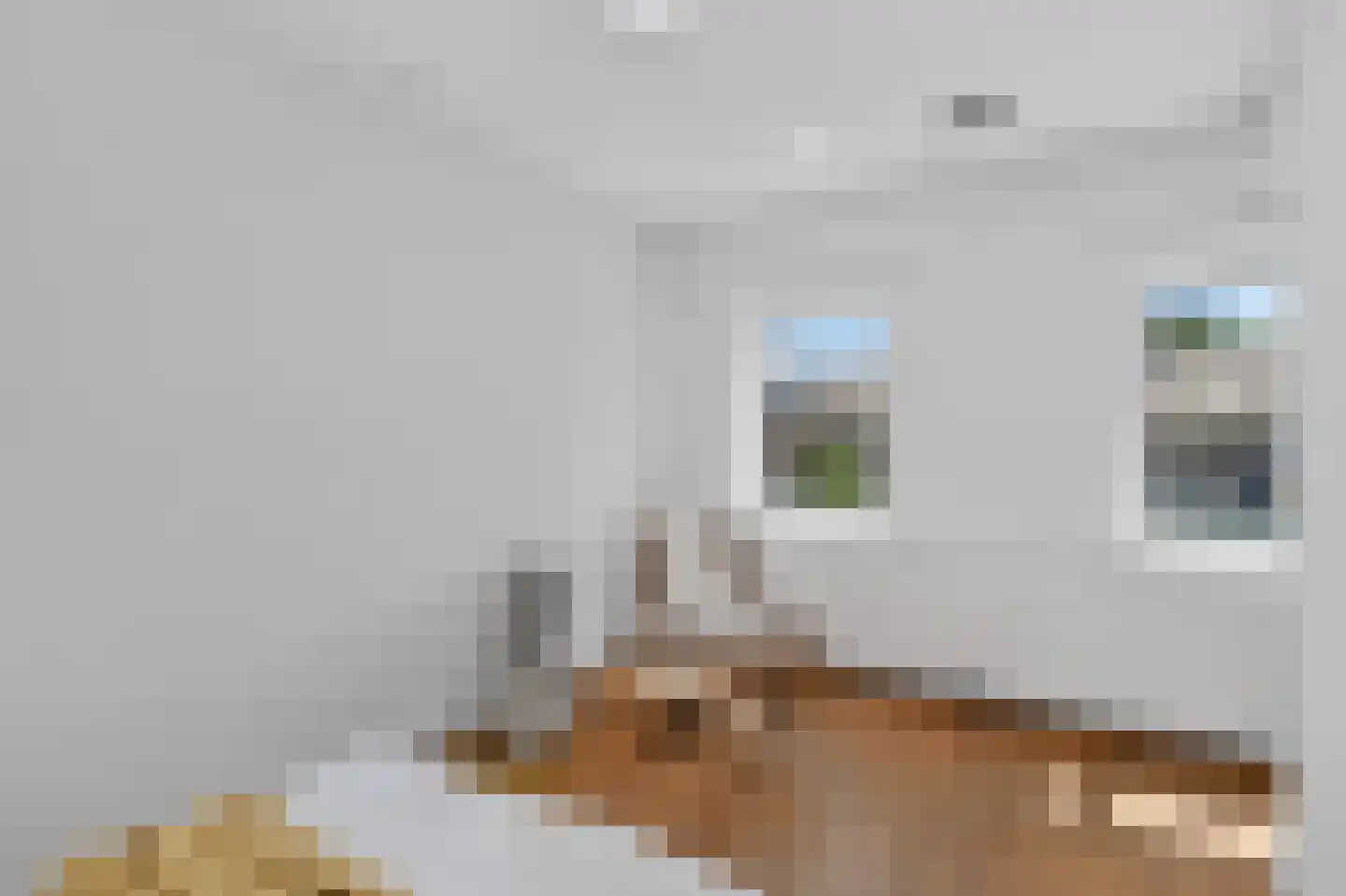 Zeeburgerdijk 37 4 Amsterdam thumbnail 19
